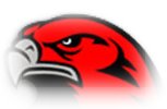 Mighty Minford Falcons!