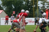 IMG_6848.jpg