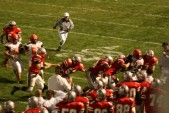 IMG_3516.jpg