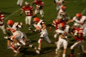 IMG_3525.jpg
